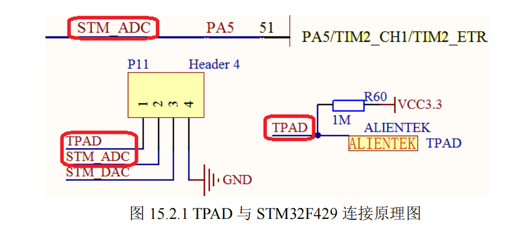 image-20250328215734921